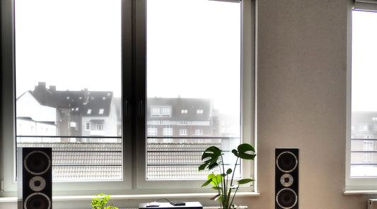 The Ultimate Guide to Cleaning E-Type Windows for a Sparkling Home
