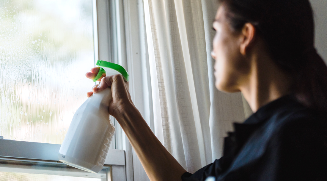 Debunking Window Cleaning Myths